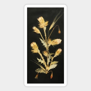 Pressed flowers~ Scottish Thistle Sticker